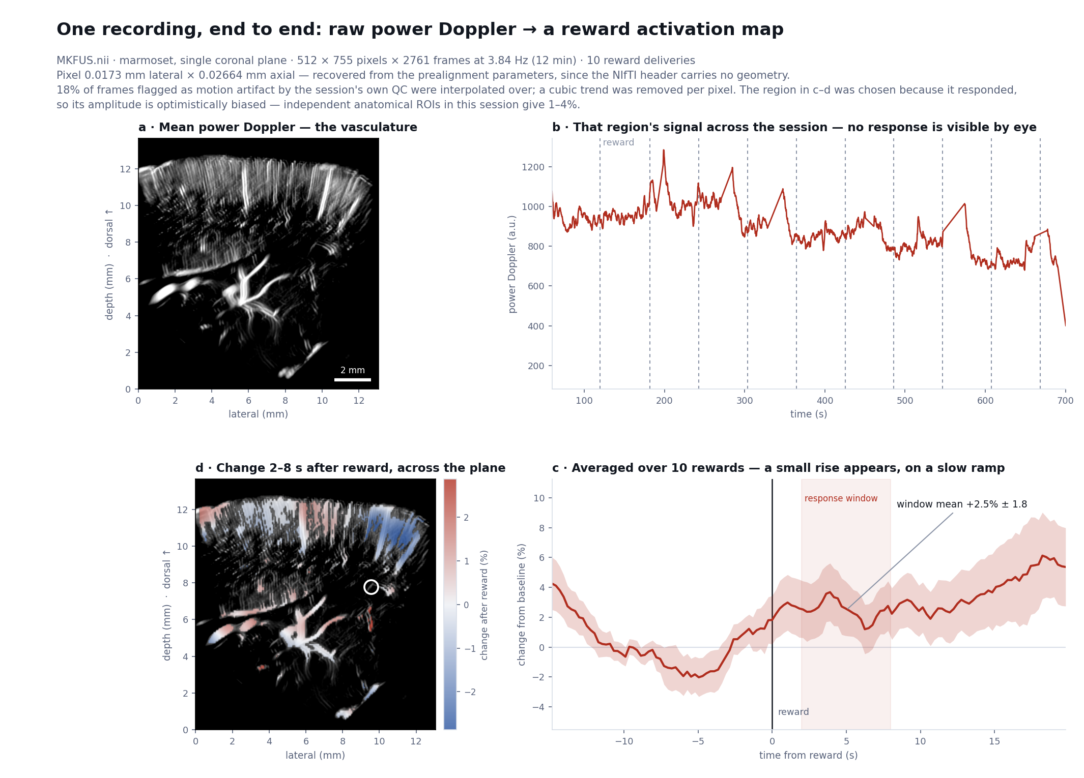 Four panels: the mean power-Doppler vasculature; one region's raw signal across the session with reward times marked; the trial-averaged response showing a small rise; and a map of change after reward across the plane.